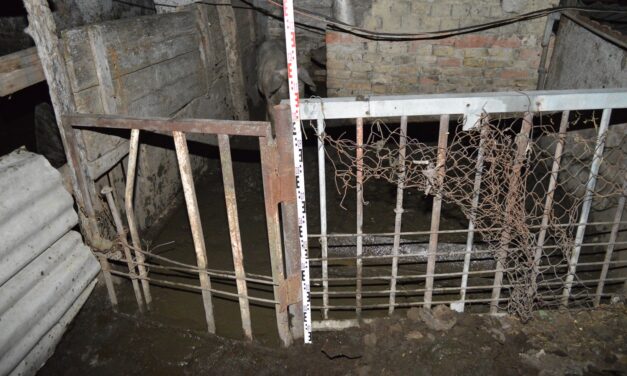 Sokkoló: légpuskával támadtak egy idős bácsira az éjszaka közepén, a disznóját akarták elvinni