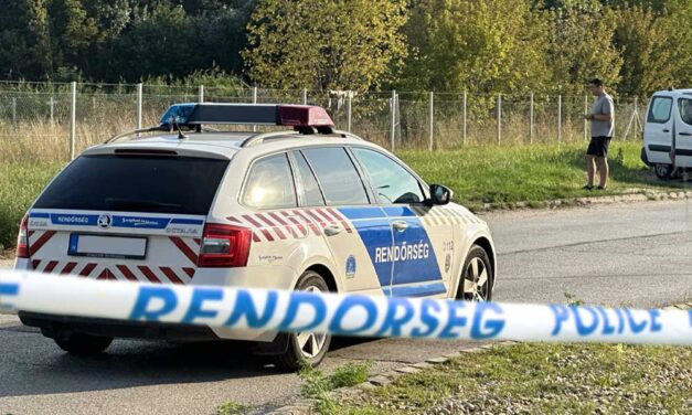 “A feleségem halálra éheztette és verte a Mátét” – embertelen kínok között kellett meghalnia egy 2 éves kisfiúnak