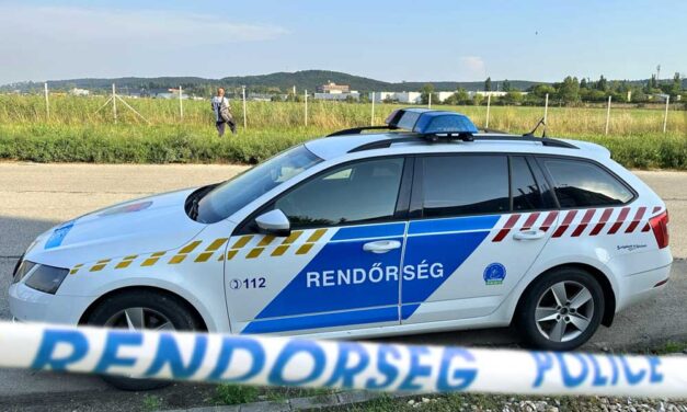 Sokkoló! Láncfűrésszel fenyegette a járókelőket egy férfi Pest megyében, így terítették le a rendőrök