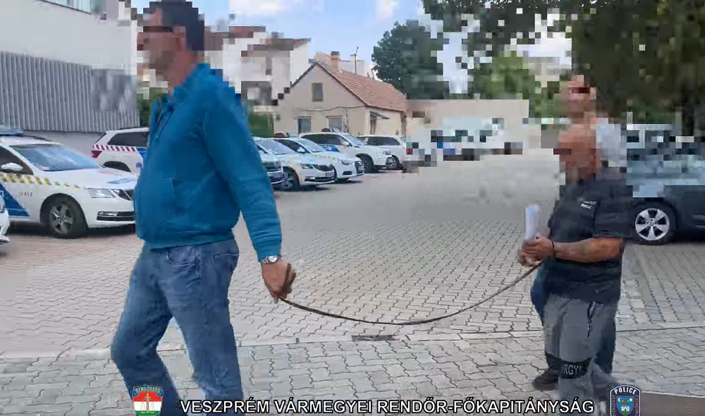 Brutális emberrablás: a földön húzva rángatták ki a nőt a lakásából, a volt férjét és annak fiát gyanúsítják – videóval!