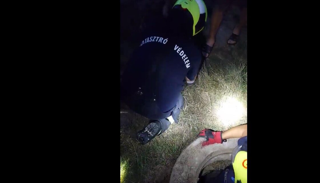 Tűzoltók mentették ki a csatornába zuhant Fannikát – videó