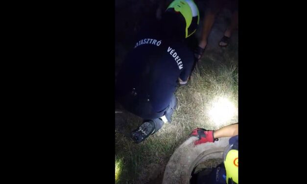 Tűzoltók mentették ki a csatornába zuhant Fannikát – videó