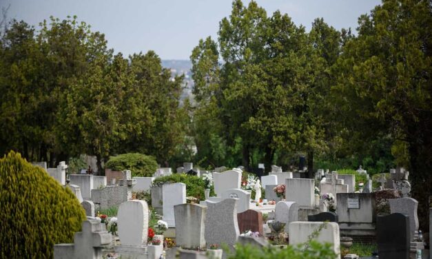 Pánik Érden: bűnbanda garázdálkodik az Ercsi úti temetőben