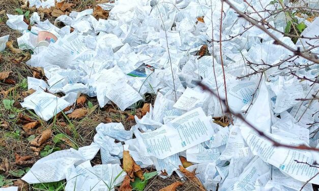 OMW-szemét csúfítja el Szentendre környékét, az illegális szemétlerakás bűncselekmény Magyarországon