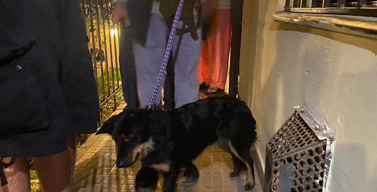 Sikerrel zárult a mentőakció: kimentették a másfél éves Lilit a részeg angyalföldi férfi fogságából
