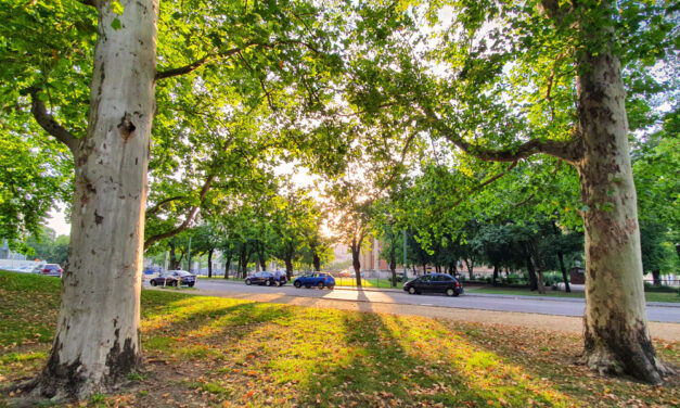 Meghökkentő látvány a budapesti Városligetben: megdöbbentő dolgot tett egy férfi, sokan elcsodálkoztak rajta