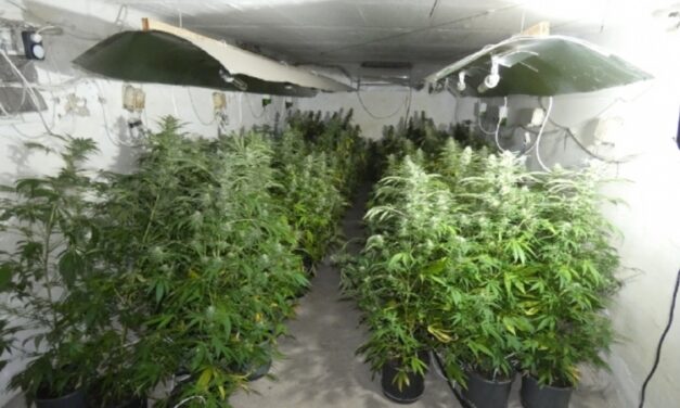 Dupla gazemberség: megbütykölte a villanyórát és drogot termesztett otthonában egy gyáli férfi