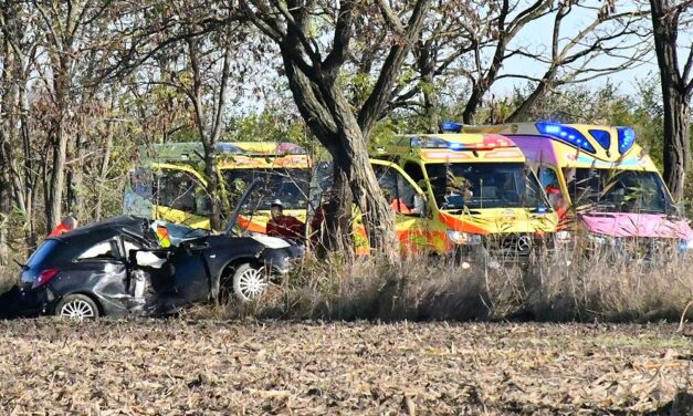 Nem használta a biztonsági övet az a terhes nő, aki autójával nekicsapódott egy fának és szörnyethalt: gyermeke életét császármetszéssel mentették meg