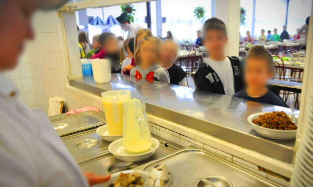 Mérgező gyomnövény került a budapesti óvodások zöldbabfőzelékébe: megszólalt az önkormányzat