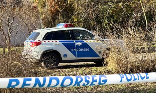 Megharapott egy dühös kutya egy soproni kislányt