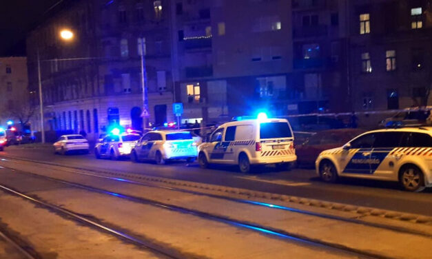 „Édesanyám, gyere, mert megszúrtak” – egy 19 éves férfi halt meg Budapesten, a tettest nagyon sok év fegyházra ítélte a bíróság