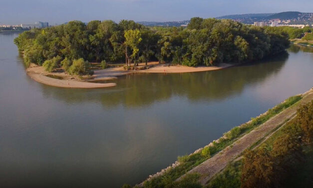 „Összevesztem a párommal, ezért ültem be az autóba” – részegen, jogsi nélkül vezetett a budapseti férfi, majd a Dunába ugorva menekült a rendőrök elől