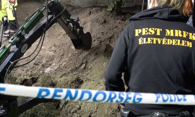 Új fejlemény az üzlettársát a kertben elásó csepeli gyilkos ügyében