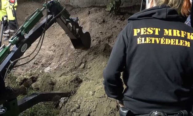 “Háromszor megkínáltam vassal” – mondta a gyilkos, miután a kertjéből kiásták a rendőrök az eltűnt férfi holttestét