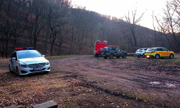 Holttestet találtak a túrázók az egyik börzsönyi patakban