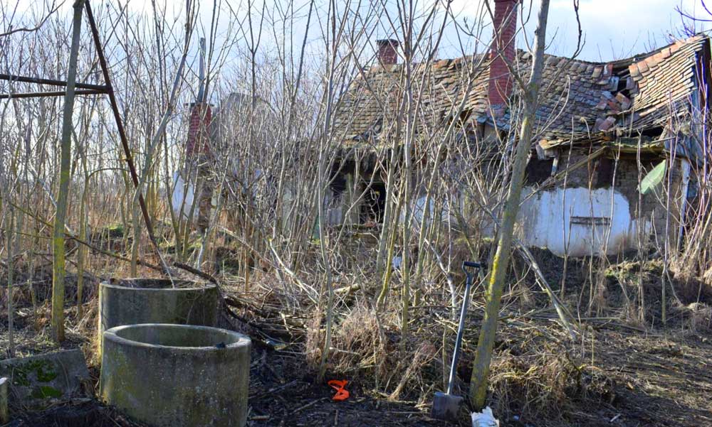 Éhen halt egy idős beteg asszony a fűtetlen házban a dabasi tanyán: hiába könyörgött fiának, a férfi nem segített rajta