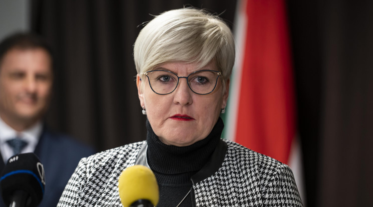 Kiakadt a bicskei polgármester: szerinte a média rombolja a város imázsát a pedofilozással, Bicskéhez az utóbbi hetekben 3 gyermekmolesztáló botrány is kapcsolódik