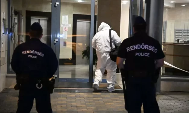 Gyilkosság Budapesten: szíven szúrta volt szerelmét a részeg nő, miközben ikrei a lakásban aludtak