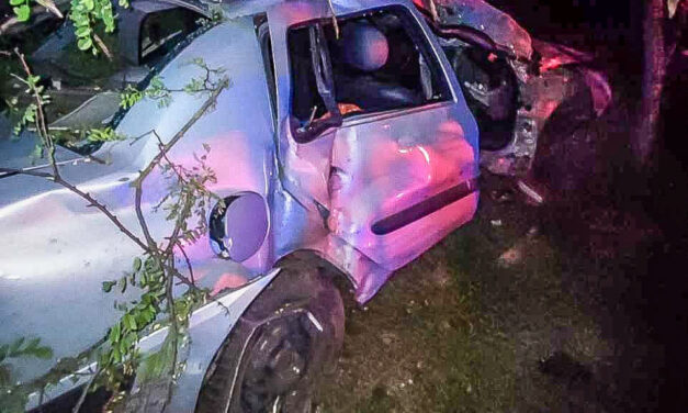 „Élet-halál közt találtak rá” – lesodródott az útról autójával a családapa Monornál, az összetört roncsot alig találták meg a fák között