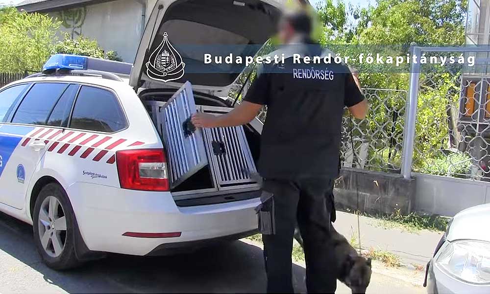 Egy családi veszekedés miatt hívták ki a rendőröket magukra, a zsaruk még a hűtőben is kábszert találtak