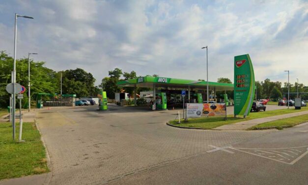 „Hibáztam, tudtam, hogy Máté nem fogyaszthat mogyorót” – összeomlott a bíróságon a budapesti tanárnő, akinek felügyelete alatt halt meg a mogyoróallergiás kisfiú