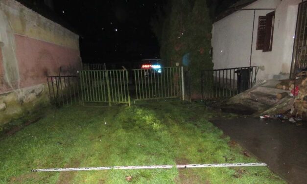 Albérletre kellett a pénz, ezért végzett idős rokonával a fiatal pár: még az áldozat autóját is ellopták