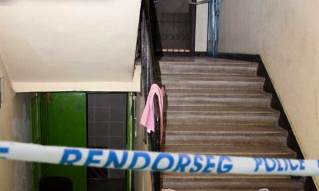 „Szúrd már le” – ezt kérte feleségétől a szomszédjával vitatkozó férj, az asszony hozta a kést és cselekedett