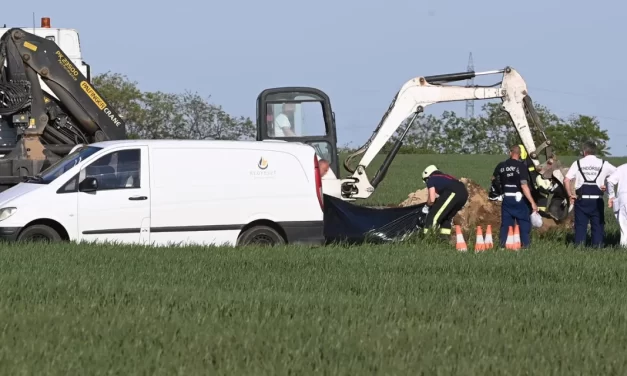 Lezuhant kisgép: a Vértesi Erőmű egykori vezetője, a milliárdos üzletember zuhant le Martonvásárnál Besenyei Péter Red Bull-os gépével