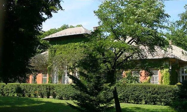 Rákospalotai pedofil-ügy: tudta, az igazgató, hogy a nevelő összefekszik a 15 éves gondozottakkal, mégsem tett feljelentést