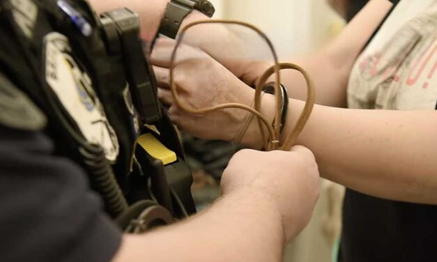 Letartózatták a tankerületi vezetőt, aki az oktatás és a menza minősége helyett saját vagyona gyarapításával volt elfoglalva: rengeteg készpénzt és luxusautót találtak nála