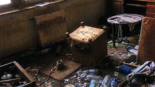 Unorító, embertelen körülmények közt élt 26 macskával a nő egy panellakásban, 11 állat elpusztult, mert nem adott nekik enni