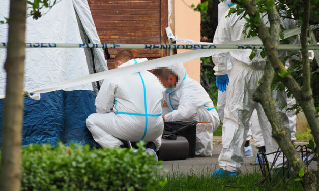 „Az enyém volt a világ legcsodálatosabb, legerősebb és legtündérebb édesanyja” – megszólalt a szentesi gyilkosság áldozatának fia, a tettes betegesen ragaszkodott későbbi áldozatához