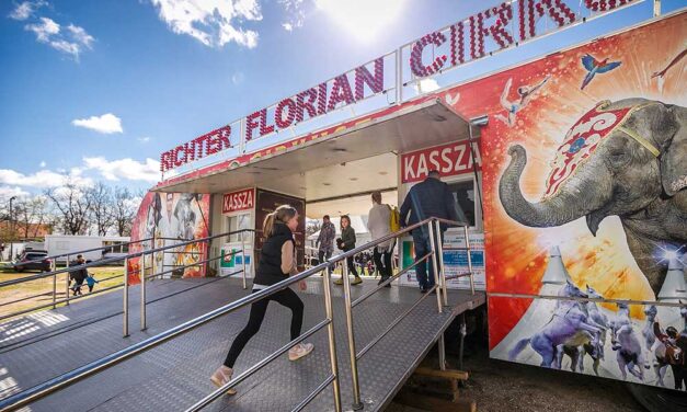 Súlyosan megsérült egy néző a Richter Cirkusz előadásán, nemrég egy motoros artista zuhant le a halálgömbből ugyanitt