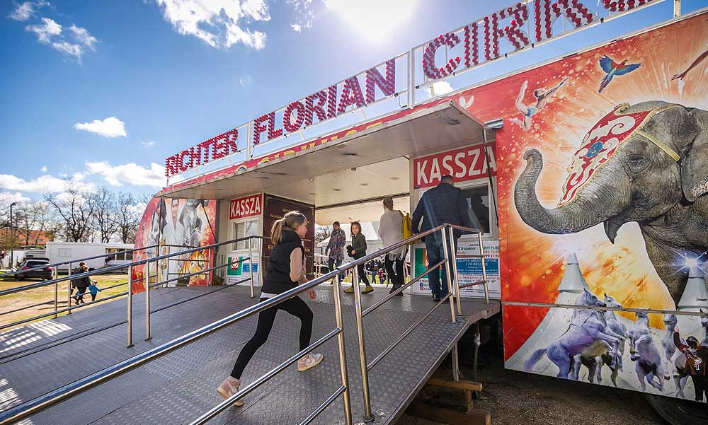 Súlyosan megsérült egy néző a Richter Cirkusz előadásán, nemrég egy motoros artista zuhant le a halálgömbből ugyanitt