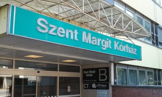 Létszámhiány miatt szinte teljesen leállt a művesekezelés a budapesti Szent Margit Kórházban