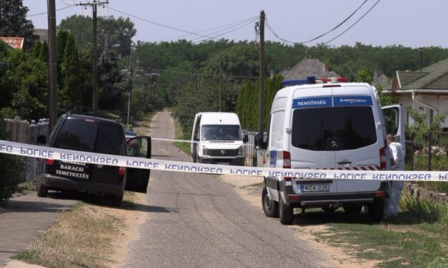 Négy év börtönt kapott a gimnazista, aki 15 évesen szült, majd átdobta a kerítésen a kisbabáját: a bíró szerint a lányt magára hagyták a problémájával