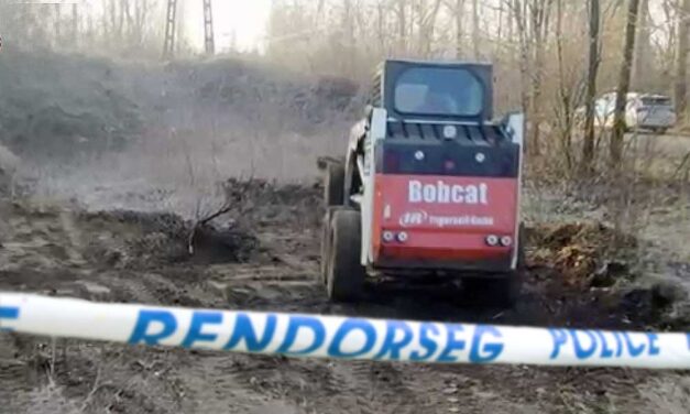 Egy bőröndbe rejtették a 20 éves győri lány holttestét, majd taxit hívtak, azzal vitték az erdőbe, és elásták