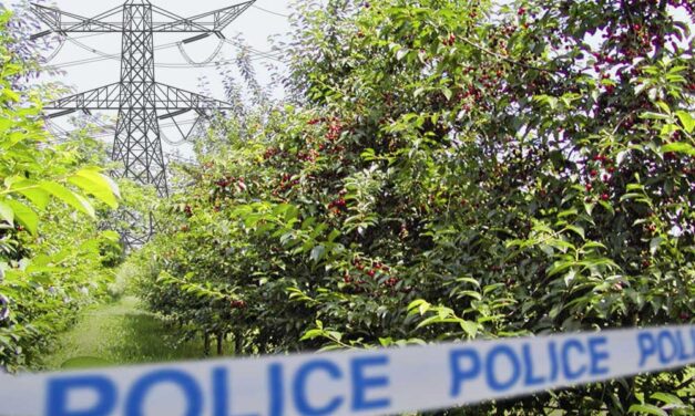 “Két csodálatos ember és családapa ment el” – egész Ráckeve gyászolja az áramütés miatt meghalt két helyi férfit, két nő életéért imádkoznak a város lakói