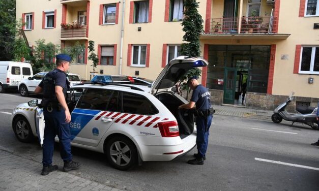 „A sokadik beszólása után Laci a kést már előkészítette a bejárat mellé a szekrényhez” – megszólalt az angyalföldi gyilkosság elkövetőjének élettársa