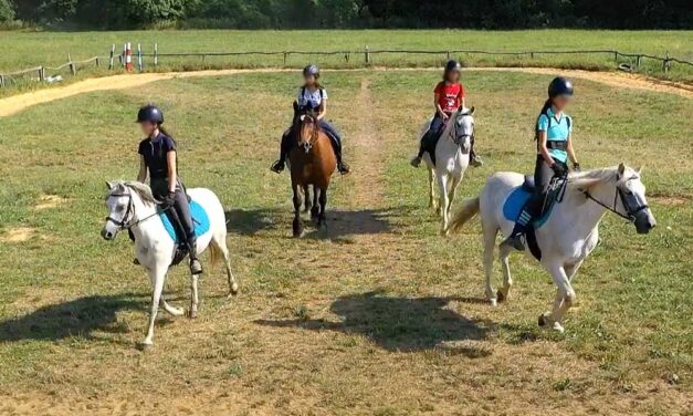 Súlyos baleset a gyermektáborban: megrúgta a 8 éves kislányt a ló, mentőhelikopterrel vitték kórházba