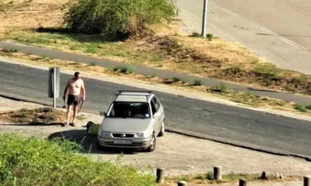 Balhé Vácon: megszólalt az apa, aki elgázolta, majd baltával támadt lánya zaklatójára a nyílt utcán