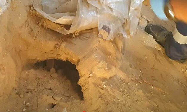 Több, eltűntént keresett ember holttestéről és gyermekkori molesztálásokról beszélt Till Tamás meggyilkolásával gyanúsított férfi