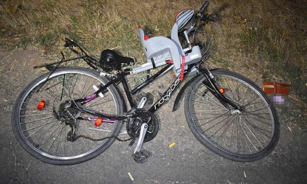 “Látható volt, hogy a beteg intenzíven vérzik a testnyílásaiból és egy hatalmas vértócsában fekszik” – megszólalt az orvos, aki megpróbálta megmenteni a szigetújfalui polgármester által halálra gázolt értelmi fogyatékos férfit