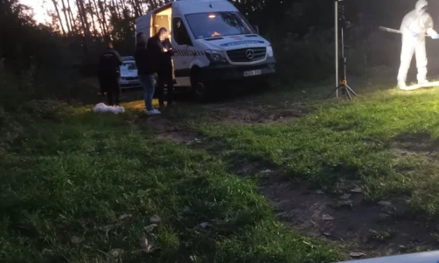 Rettenetes körülmények közt él a Nyíregyházán meggyilkolt  12 éves lány családja: a tragédia után azonnal kiemelték az álodzat testvéreit a családból