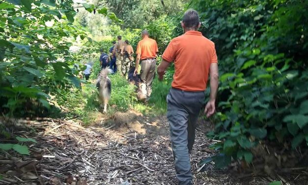 “Balikám! Ha ezt látod és olvasod kérlek, gyere haza, mert már nem bírom!” – egy családi veszekedés után tűnt el a 19 éves fiú, édesanyja naponta üzen a fiának