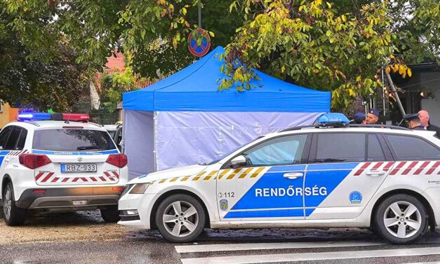 „Szörnyű látvány volt ez az egész, még mindig a hatása alatt vagyok” – megszólalt a szemtanú, aki végignézte, ahogyan fejbe lövi magát az idős férfi Törökbálinton