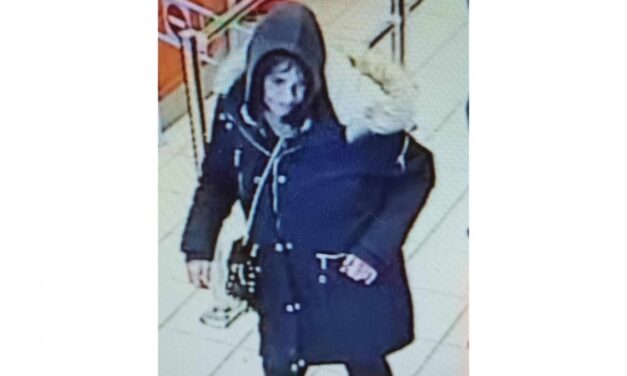 Halálra gázoltak egy nőt Kecelen, a rendőrség a lakosság segítségét kéri az azonosításhoz