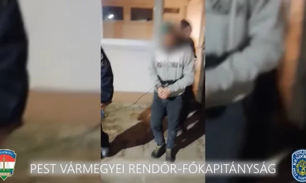 Letartóztatták a Vác környéki rémet: három 12-13 éves lányt is megrontott a Duna-parton, volt akit két évig is kihasznált