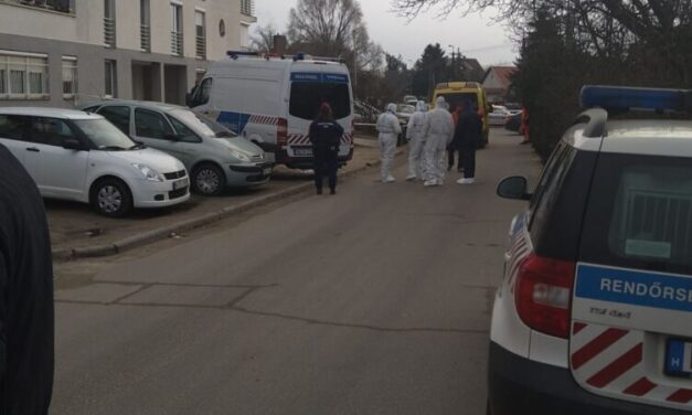 Gyilkosság Budapesten: saját otthonában végzett az idős férfival a 19 éves fiú