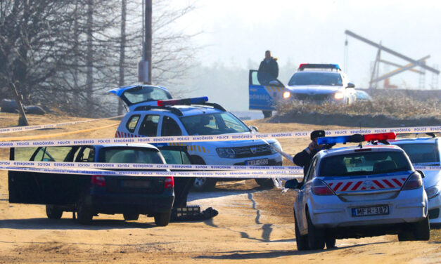 „Az ütés után nem tért magához többé” – belehalt a szomszédháborúba egy fiatal férfi Erdőkertesen, egy kerti parti miatt tört ki a balhé